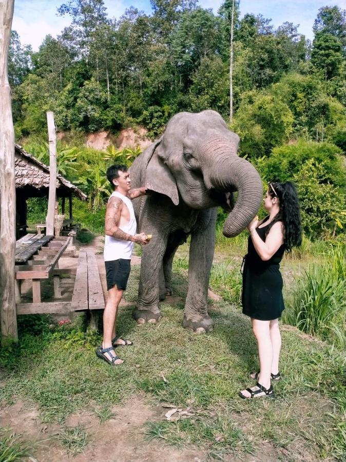 Funky Monkey Cnx - Guesthouse Chiang Mai Eksteriør bilde